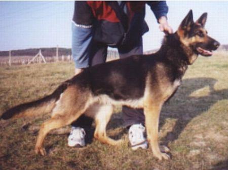 G Britta z Mestskej Policie