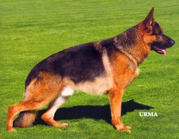 2xVA2 (KZ), SG3 JHKL 2006 Yumbo von der Bärenschlucht