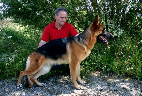 V Xenia von der Rangauhöhe