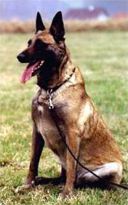 SG Quarera des Deux Pottois