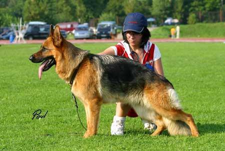 V Zilber Vasserfal Kleopatra