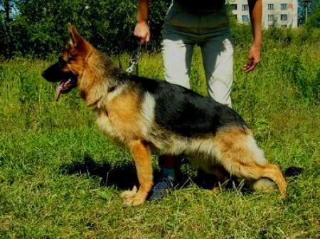 Zilber Wasserfall Bucha