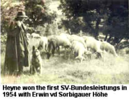 1954 BLH SIEGER Erwin von der Sobrigauer Höhe