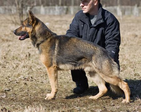 Izmir vom Haus Castra Regina