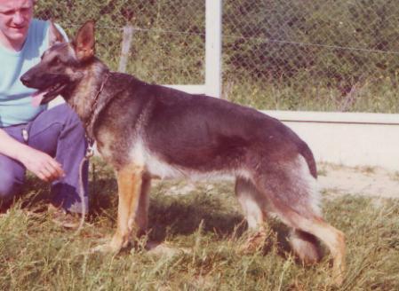 Ianta de Gerbe de Granval