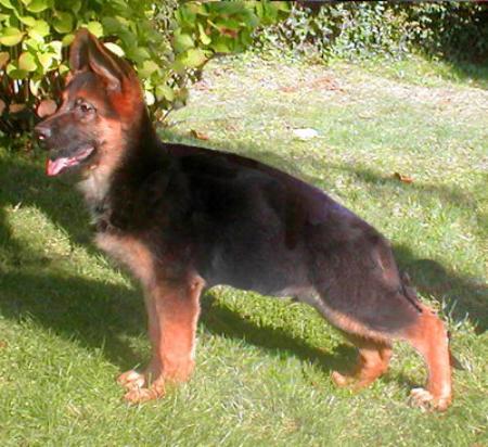 Quantum Di Casa Nobili