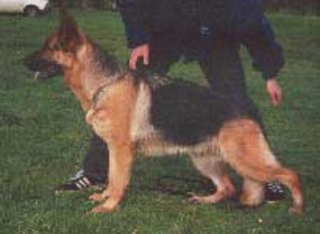 V Zilber Wasserfall Erotika