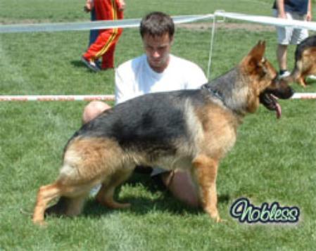 SG 1(SR) Cello od Zolike