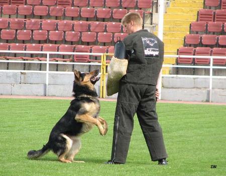 Viktor Zoterhund
