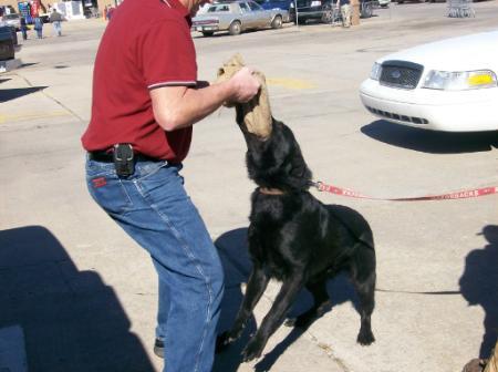 Lynux De Lupus Egidius