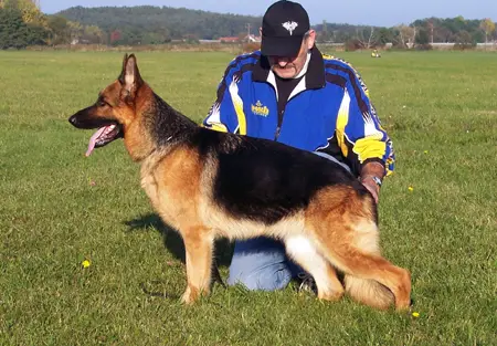 V Zindja von Agilolfinger