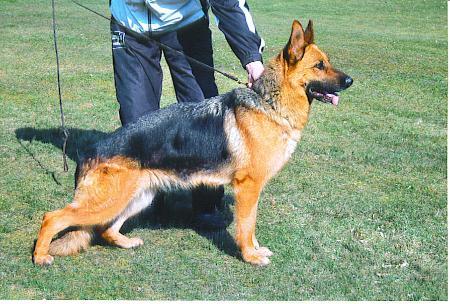 V Kitty vom Stahlshüttenhof