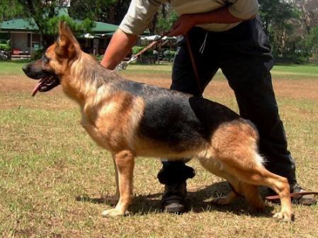 Hallebry of Day Berry House