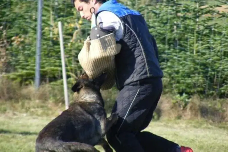 SG Bora vom Weinbergblick
