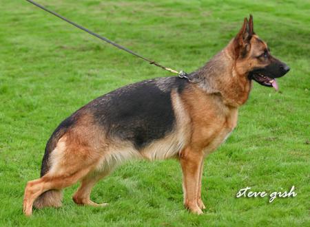 Fixi Di Casa Massarelli