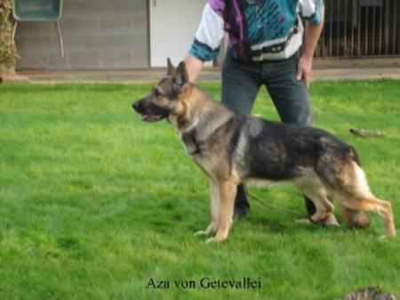 G Aza von Getevallei