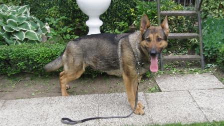 Cora van 't Leefdaalhof