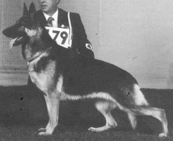 Charette's Chelsea of Farmil