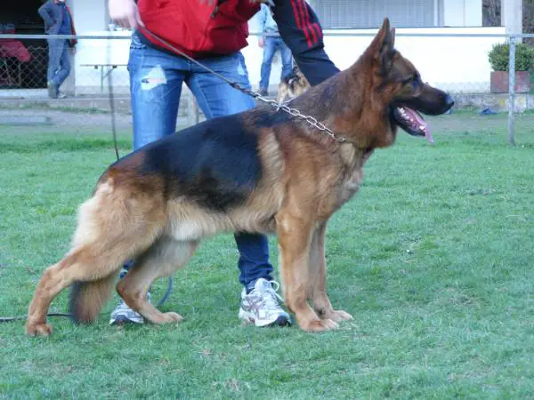 V Panos vom Hasenborn
