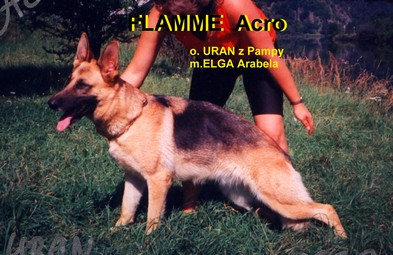 V Flamme Acro