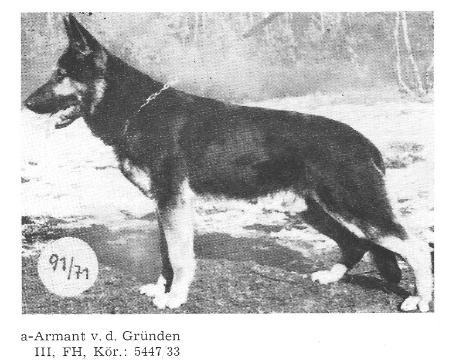 Armant von der Gründen