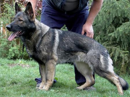 G Jenny von der Längerts