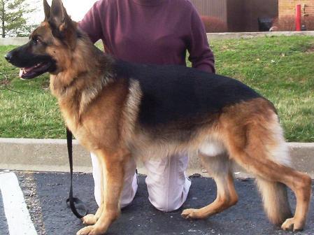 Cold vom Tommy's Ranch