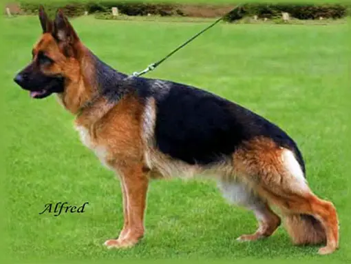 V Yuta I de Herr Kan