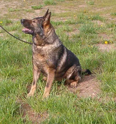 Steffi vom Frolich Haus