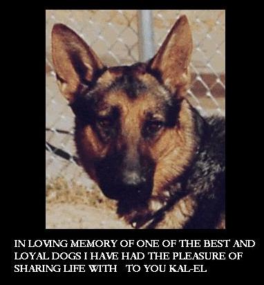 R-U-My- Kal-El von haus Kim