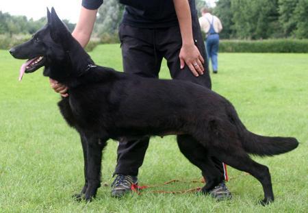V Pattsy vom Haus Löschan