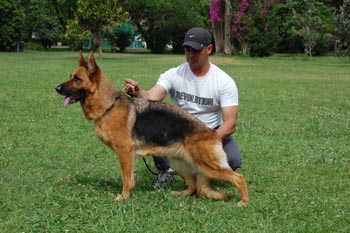 Vantta Vom Baires Land