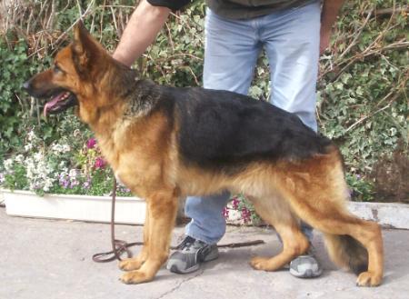 Ayronsaid von Haus Fer