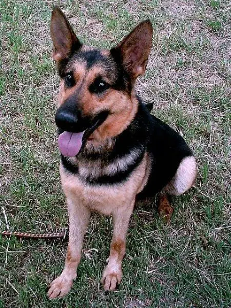 Fraulein Katy Loudermilch