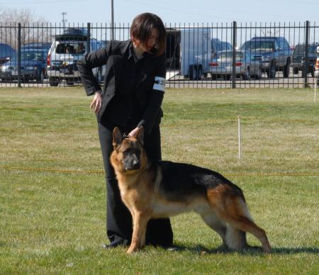 V1 Troll von Majic Forest