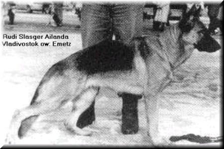 V Rudy Slazger Ailanda