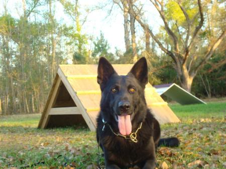 Radar Von Perlenfluss