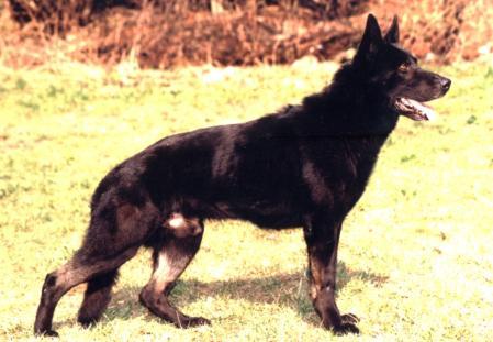 VD Art z Mokropeske zahrady