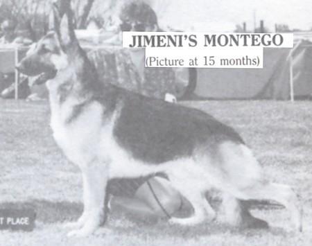 CH (AM/CAN) Jimeni's Montego