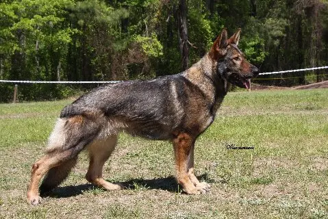 SG Anna von der Seilschaft