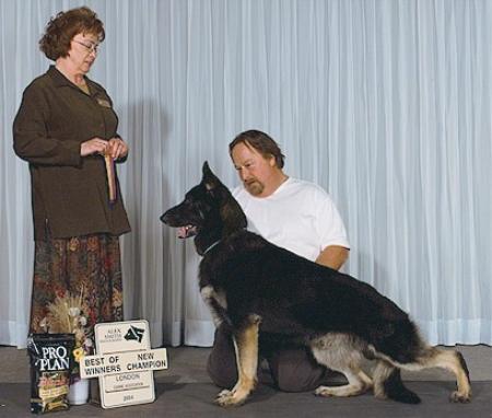 CH (CAN) Marquin's X-Clusive