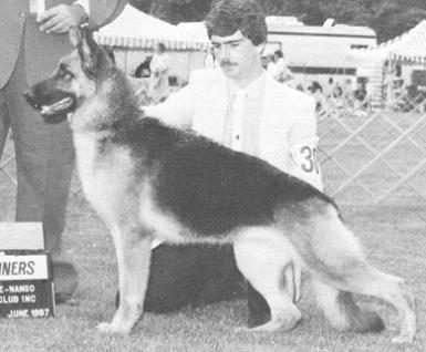 Wellspring's Ginger Rogers