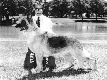 Welhorn Clayfld Twice a Lady