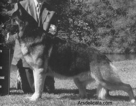 CH (CAN) Survival Windigail's Goldcard