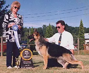 CH ( CAN) Silverhill's Sumthin Special