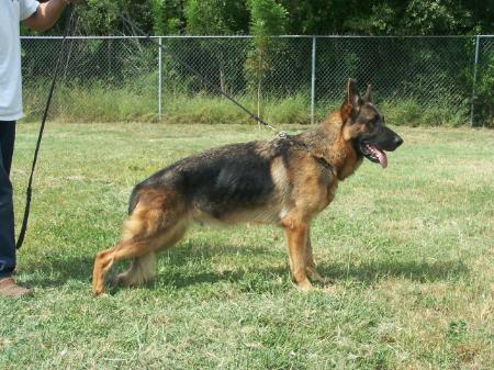 Porsha Von Amalaberg