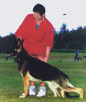 Inflight's Fly So Free