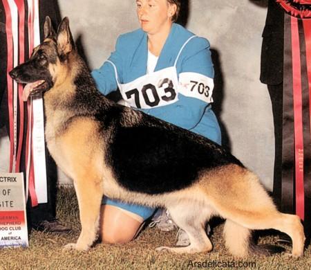 2002 GVX CH (US) Jecoda Keylis Jest 'n Thyme