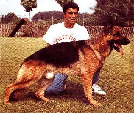 V1 (FIN) INT UCH Wambo vom Murrtal