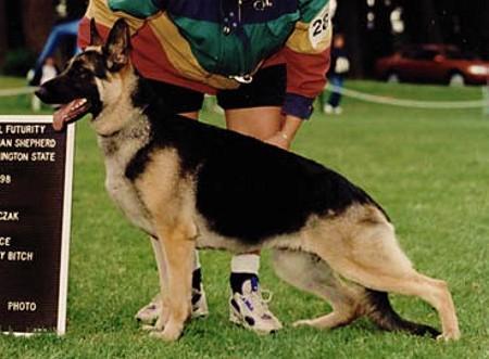 Norberge's Edie